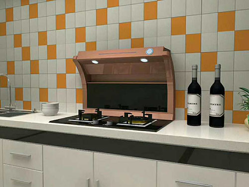 国内灶燃气,热水器,烟机,电热水器,消毒柜,环保灶,亿翔龙集团,国内厨具,厨房用品,帅运来,智荣好太太