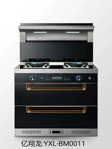 国内灶燃气,热水器,烟机,电热水器,消毒柜,环保灶,亿翔龙集团,国内厨具,厨房用品,帅运来,智荣好太太