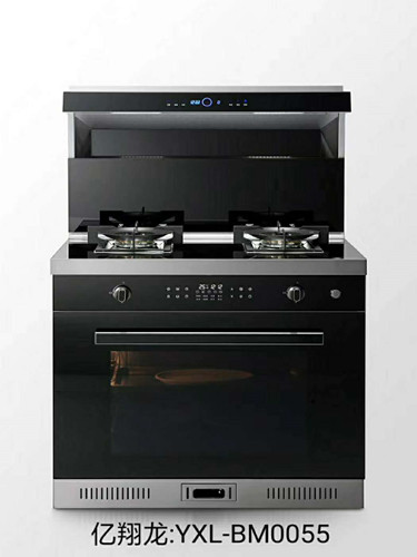 国内灶燃气,热水器,烟机,电热水器,消毒柜,环保灶,亿翔龙集团,国内厨具,厨房用品,帅运来,智荣好太太