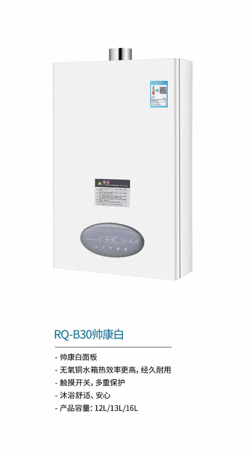 国内灶燃气,热水器,烟机,电热水器,消毒柜,环保灶,亿翔龙集团,国内厨具,厨房用品,帅运来,智荣好太太