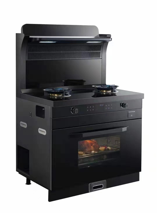 国内灶燃气,热水器,烟机,电热水器,消毒柜,环保灶,亿翔龙集团,国内厨具,厨房用品,帅运来,智荣好太太