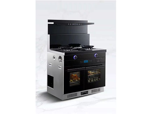 国内灶燃气,热水器,烟机,电热水器,消毒柜,环保灶,亿翔龙集团,国内厨具,厨房用品,帅运来,智荣好太太