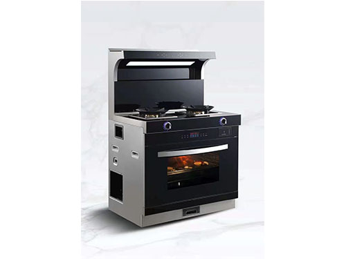 国内灶燃气,热水器,烟机,电热水器,消毒柜,环保灶,亿翔龙集团,国内厨具,厨房用品,帅运来,智荣好太太